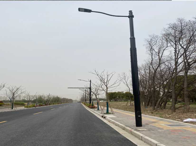 大埔县上海综合杆 太阳能路灯工程